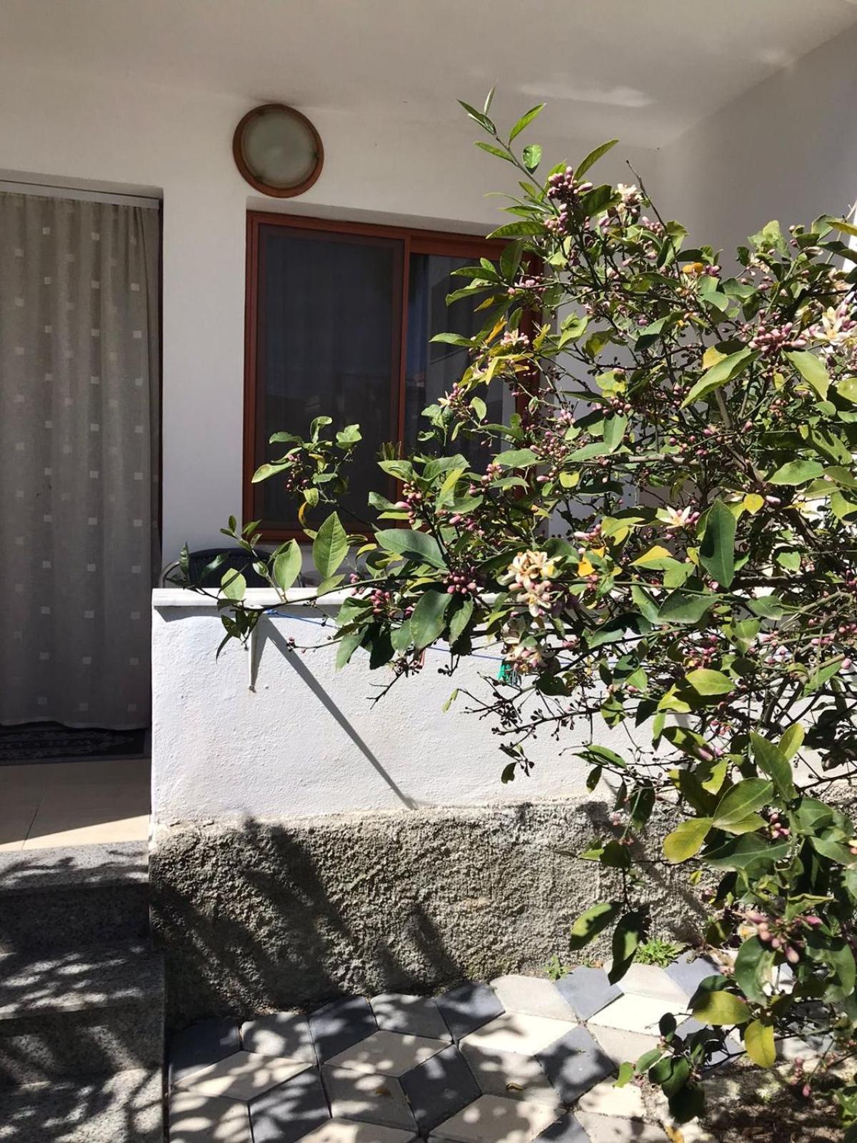 Vila Cano Durrës Exterior foto